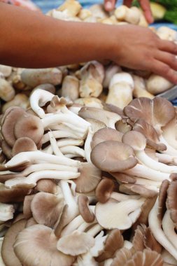 Belgili tanımlık çarşı içinde yemek pişirmek için taze mantar