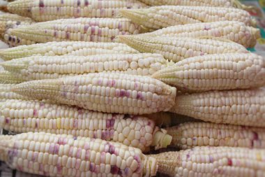 Belgili tanımlık çarşı içinde yemek pişirmek için taze Mısır