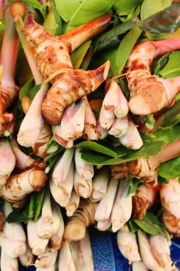 Sebze için baharatlı çorba içinde belgili tanımlık çarşı ayarla