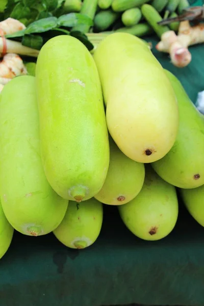 Melón de invierno para cocinar en el mercado —  Fotos de Stock