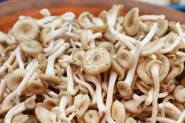 Belgili tanımlık çarşı içinde yemek pişirmek için taze mantar