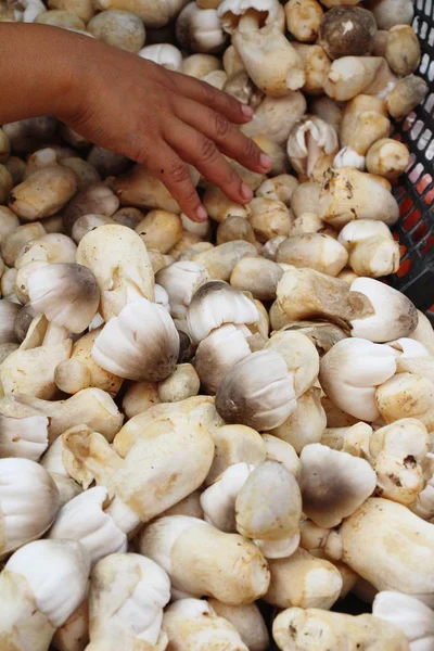 Belgili tanımlık çarşı içinde yemek pişirmek için taze mantar