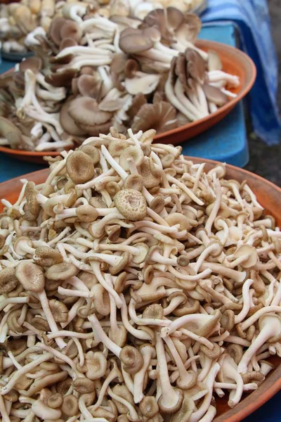 Свежие грибы для приготовления пищи на рынке — стоковое фото