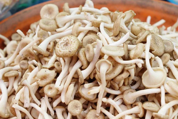 Belgili tanımlık çarşı içinde yemek pişirmek için taze mantar