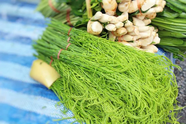 Acacia pennata для приготовления пищи на рынке — стоковое фото