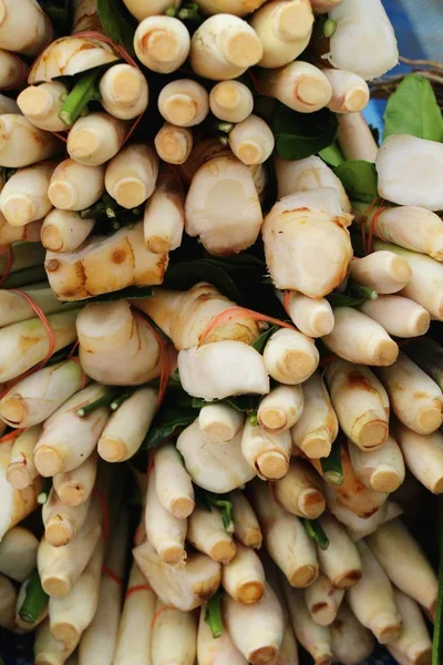 Sebze için baharatlı çorba içinde belgili tanımlık çarşı ayarla