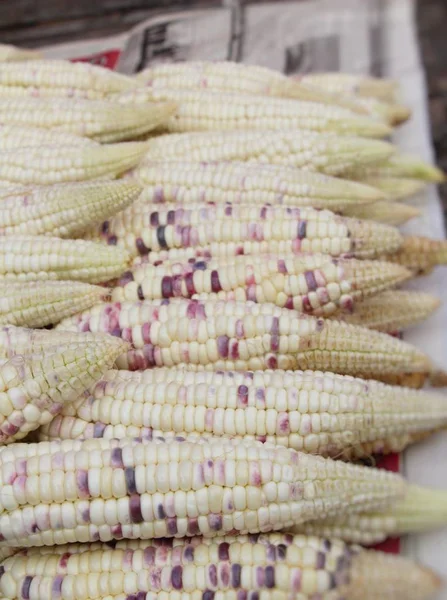 Свіжа кукурудза для приготування на ринку — стокове фото