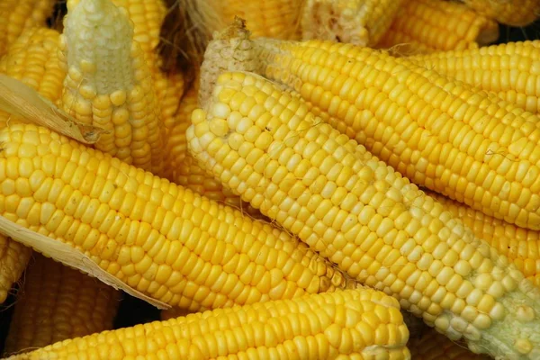 Belgili tanımlık çarşı içinde yemek pişirmek için taze Mısır