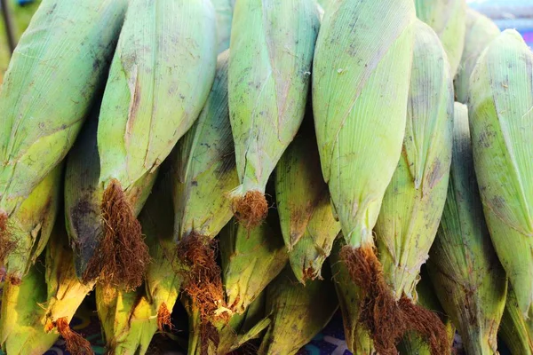 Свежая кукуруза для приготовления пищи на рынке — стоковое фото