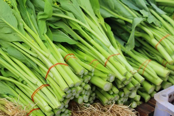 Choy fresco para cozinhar no mercado — Fotografia de Stock