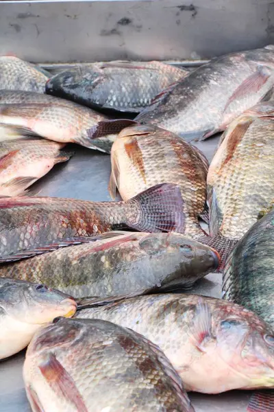 Peixe fresco para cozinhar no mercado — Fotografia de Stock