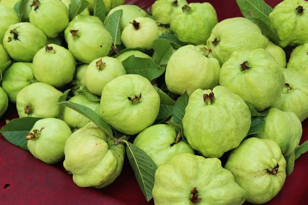 Guaven-Frucht ist köstlich auf dem Markt — Stockfoto