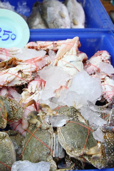 Crab on ice for cooking in street food — Stock Photo, Image