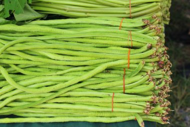 Belgili tanımlık çarşı içinde yemek pişirmek için uzun fasulye