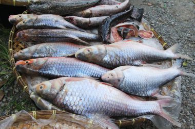 Belgili tanımlık çarşı içinde yemek pişirmek için taze balık