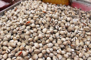 belgili tanımlık çarşı içinde yemek pişirmek için taze cockle