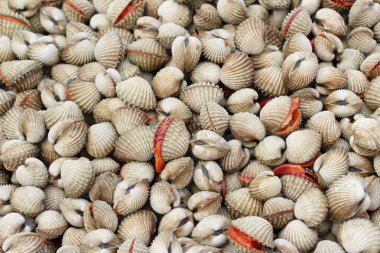 belgili tanımlık çarşı içinde yemek pişirmek için taze cockle