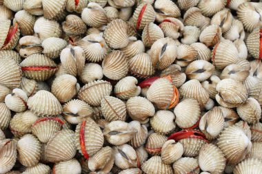 belgili tanımlık çarşı içinde yemek pişirmek için taze cockle