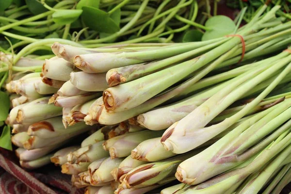 Taze limon otu içinde belgili tanımlık çarşı