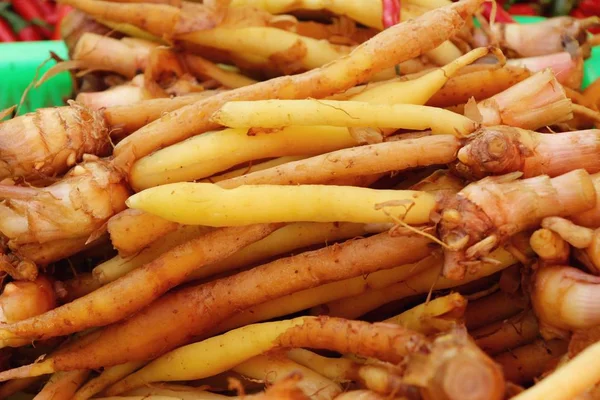 Raiz de gengibre para cozinhar no mercado — Fotografia de Stock