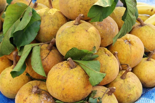 Santon meyve sokak gıda lezzetlidir