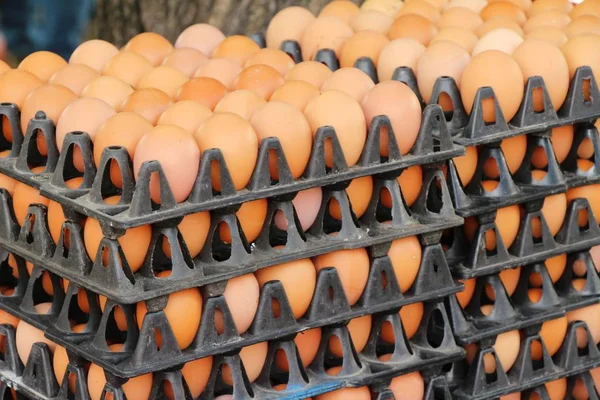 Piyasada panelinde yumurta