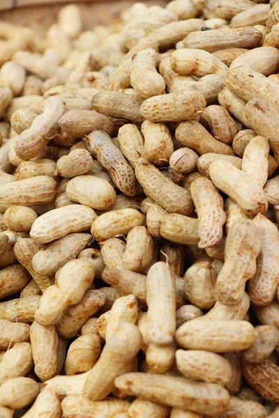 Haşlanmış fıstık olduğunu lezzetli içinde belgili tanımlık çarşı