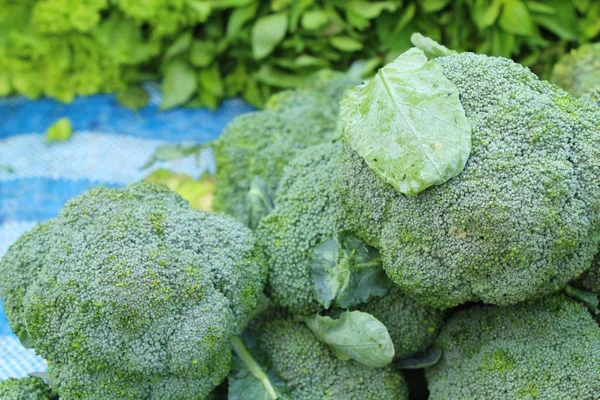 Belgili tanımlık çarşı içinde yemek pişirmek için brokoli sebze — Stok fotoğraf