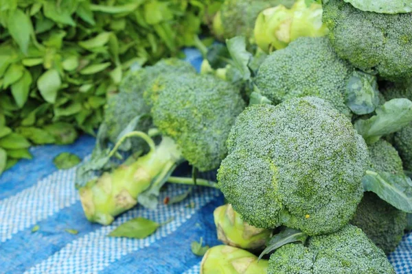 Broccoli vegetable for cooking in the market — Stock Photo, Image