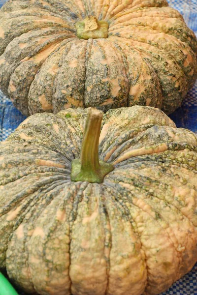 Citrouille fraîche pour cuisiner sur le marché — Photo