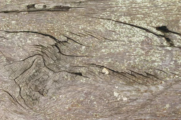 Vieux mur de beauté en bois fond et texture — Photo