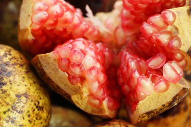 Nar meyve sokak gıda lezzetlidir