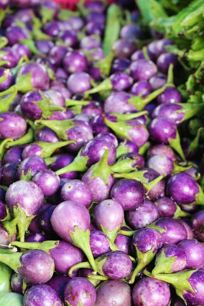 Aubergine fraîche pourpre bio sur le marché — Photo