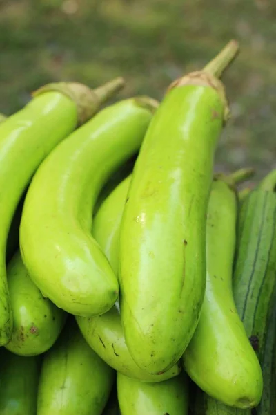 Verse aubergine groen biologisch op de markt — Stockfoto