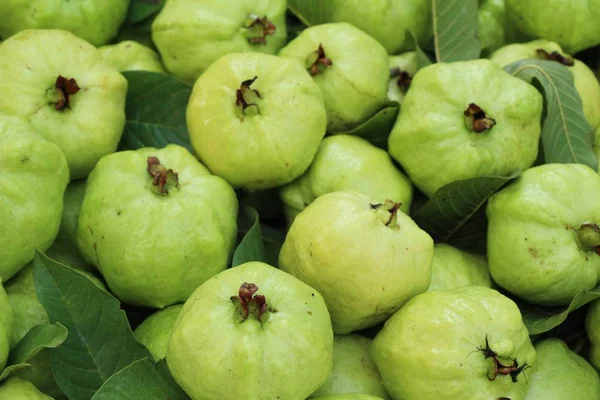 La fruta de guayaba es deliciosa en el mercado — Foto de Stock