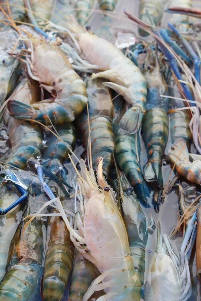 Camarones frescos en el mercado —  Fotos de Stock