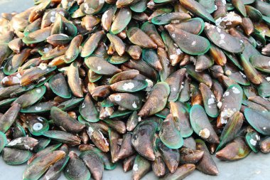 Belgili tanımlık çarşı içinde yemek pişirmek için taze midye