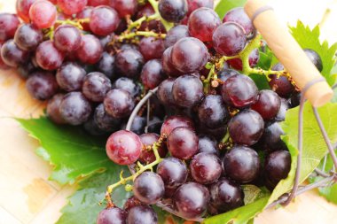 Ahşap arka plan üzerinde lezzetli taze meyve üzüm