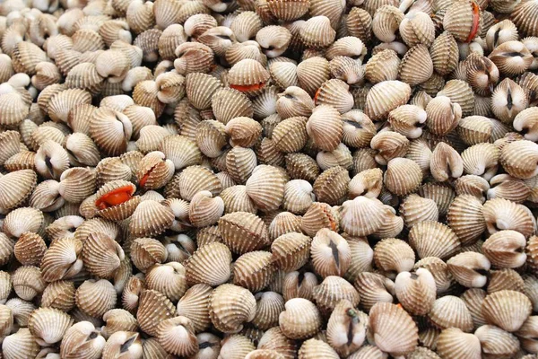 Frische Herzmuscheln zum Kochen auf dem Markt — Stockfoto