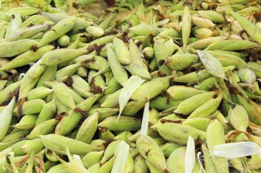 Belgili tanımlık çarşı içinde yemek pişirmek için taze Mısır