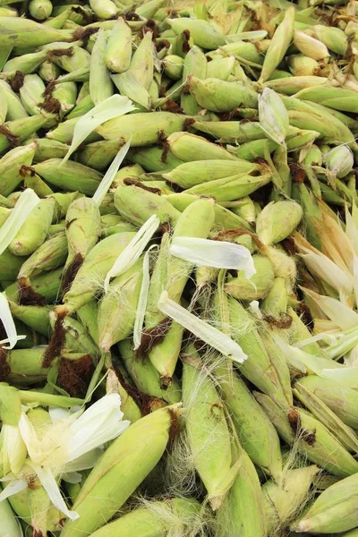 Belgili tanımlık çarşı içinde yemek pişirmek için taze Mısır — Stok fotoğraf