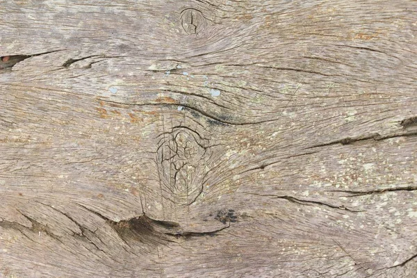 Vecchio sfondo della parete di bellezza in legno e texture — Foto Stock