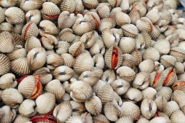 belgili tanımlık çarşı içinde yemek pişirmek için taze cockle