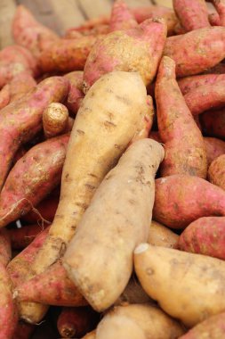 Taze yam pişirme için piyasada