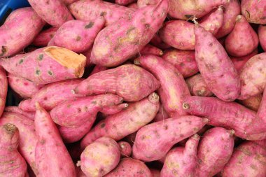 Taze yam pişirme için piyasada