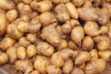 Taze yam pişirme için piyasada