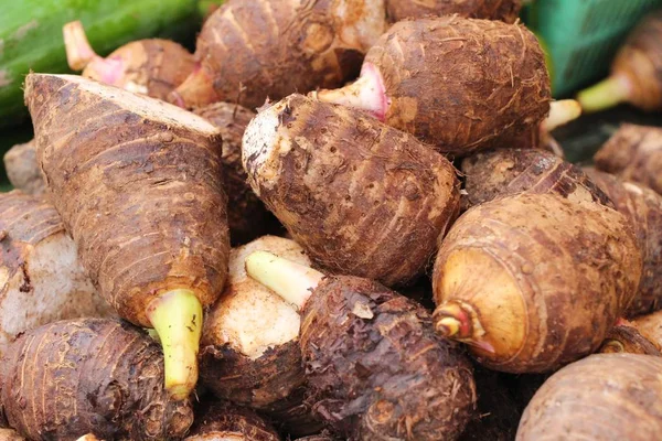 Frischer Taro auf dem Markt — Stockfoto