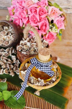 Arka plan ağaç Moringa oleifera petrol ve tohumlar üzerinde