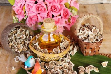 Arka plan ağaç Moringa oleifera petrol ve tohumlar üzerinde