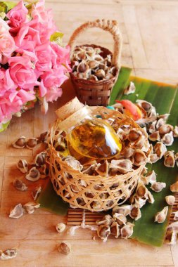 Arka plan ağaç Moringa oleifera petrol ve tohumlar üzerinde